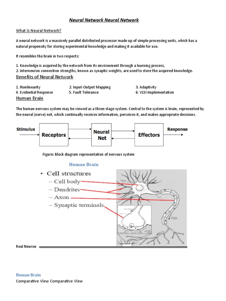 Understanding Neural Networks | PDF | Artificial Neural Network ...