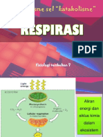 Fistum 7 - Respirasi