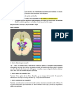 Aparato de Inervación