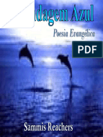 004 a Blindagem Azul (Poesia)