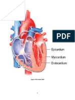 Cardiovasculer Practies