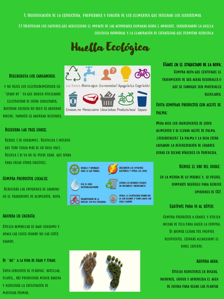 Estrategias para Reducir la Huella Ecológica | PDF | Reciclaje | Residuos