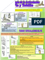 Osteologia de La Art. Tobillo y Pie