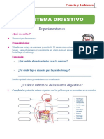 El Sistema Digestivo para Segundo Grado de Primaria