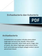 Erchaebacteria Dan Eubacteria