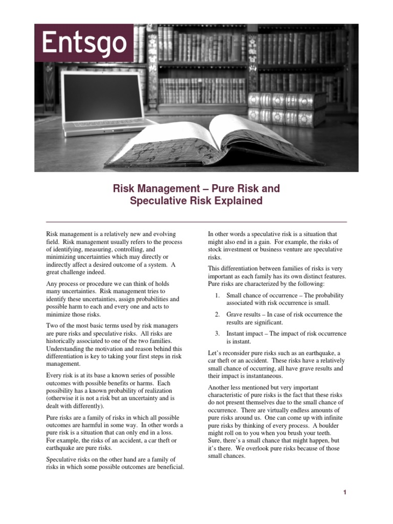 Risk Management Pure Risk and Speculative Risk Explained PDF Risk