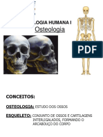 MorfoI-Osteologia Ok