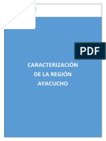 Perfil Ayacucho