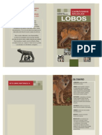 29-Texto Informativo Lobos carnívoros salvajes