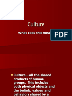 Components of Culture
