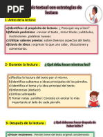 Análisis Textual Con Estrategias de Lectura - Prof Luz Fernández