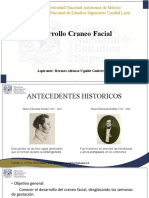 Desarrollo Craneo Facial