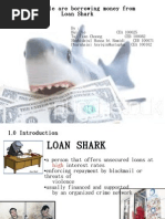 Loan Shark