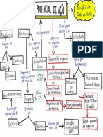 Mapa Conceitual - Potencial de Ação