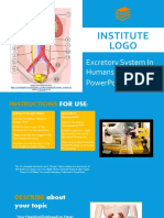 Institute Logo: Excretory System in Humans Powerpoint Template