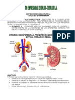 Contenido Sistema Renal