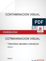 Contaminacion Visual Exp
