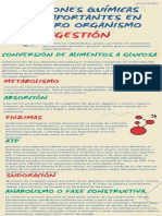 Infografia 2