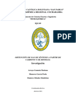 Obtencion Del Gas de Sisntesis A Partir de Carbono y Biomasa-Petroquimica