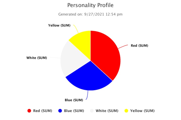 Personality Profile Analysis Summary | PDF | Games & Activities