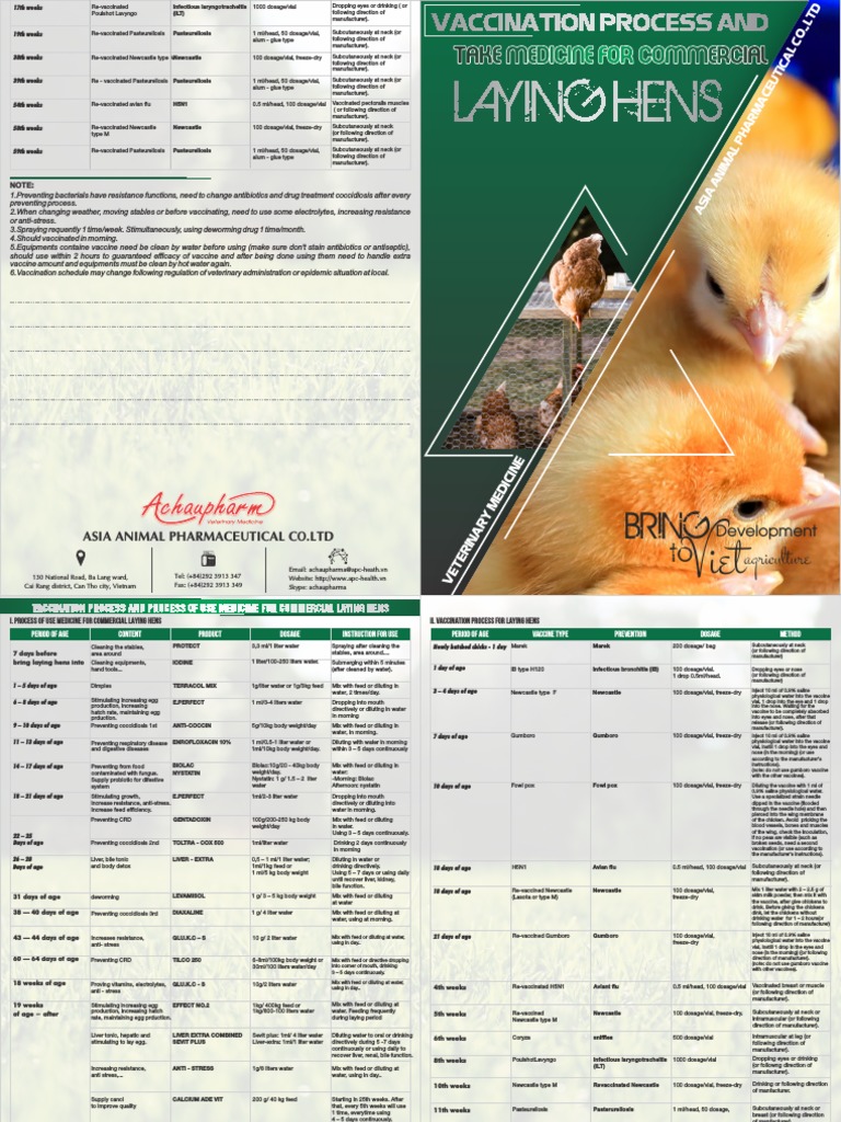 Process of Use Medicine For Laying Hens | Download Free PDF | Liver ...