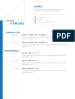 Plantilla Curriculum Vitae 8