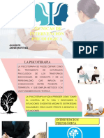 Técnicas de Intervención Psicológica