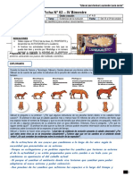 Ficha 29 - 4º