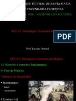 Aula 1 e 2 - Introdução à Anatomia Da Madeira (2010)