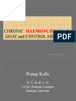 Chronic Haemonchosis in Goat and Control Measures.