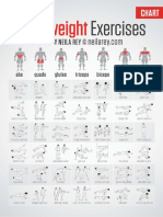 Body Weight - Exercises