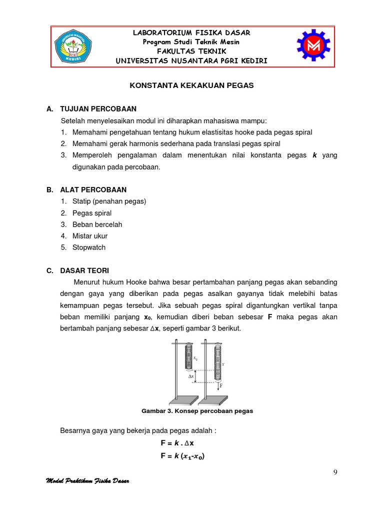 Determining the Spring Constant PDF