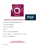 Proyecto Integrador Algebra