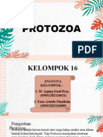 Protozoa - PPT Ddma D - Kel. 16