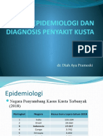 Epidemiologi Dan Diagnosis Penyakit Kusta Dr Diah