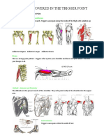 Muscles Covered in The Trigger Point Charts