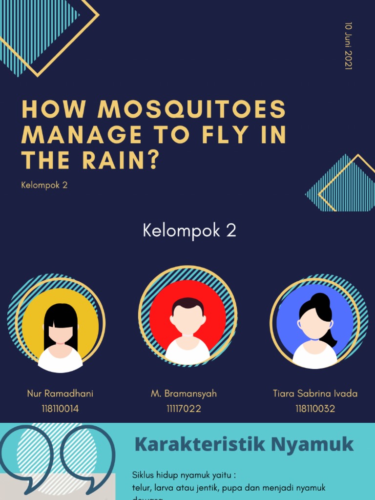 Fisika Fluida How Mosquitoes Fly in The Rain PDF