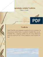 Toponimia satului Vasilcău