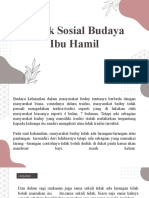 Aspek Sosial Budaya Ibu Hamil