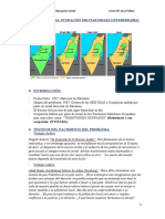 Tema 1.palestina Oucpación Militar Israelí Interminable