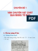 CHUYÊN ĐỀ 1 - Van Chuyen Vat Chat Qua Mang Te Bao