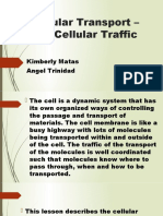 Cellular Transport - The Cellular Traffic: Kimberly Matas Angel Trinidad
