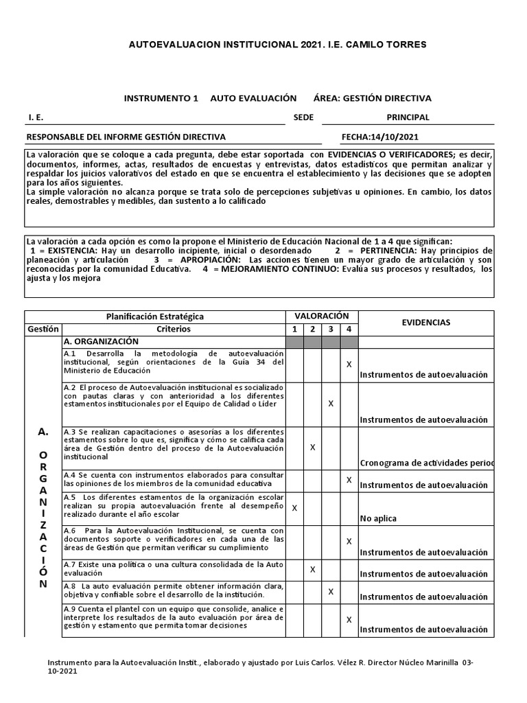 Instrumentos Autoevaluación - 2021 | PDF | Plan de estudios | Evaluación