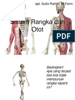 Sistem Rangka Dan Otot