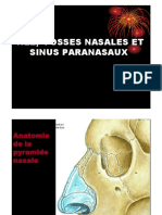 Anatomie2an-Nez Fosses Nasales