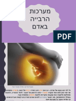 מערכות הרבייה באדם