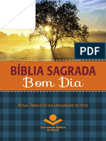 Resumo Biblia Sagrada Bom Dia Nova Traducao Linguagem Hoje d57b