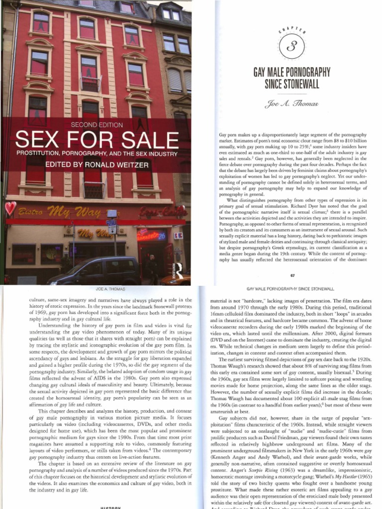 Gay Male Pornography Since Stonewall PDF Pornographic Film Human
