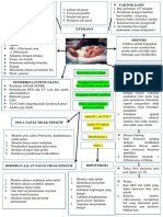 MInMap Asfiksia