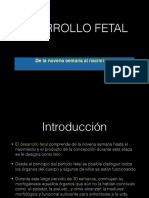 Desarrollo Fetal